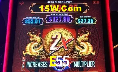 Estatísticas E55